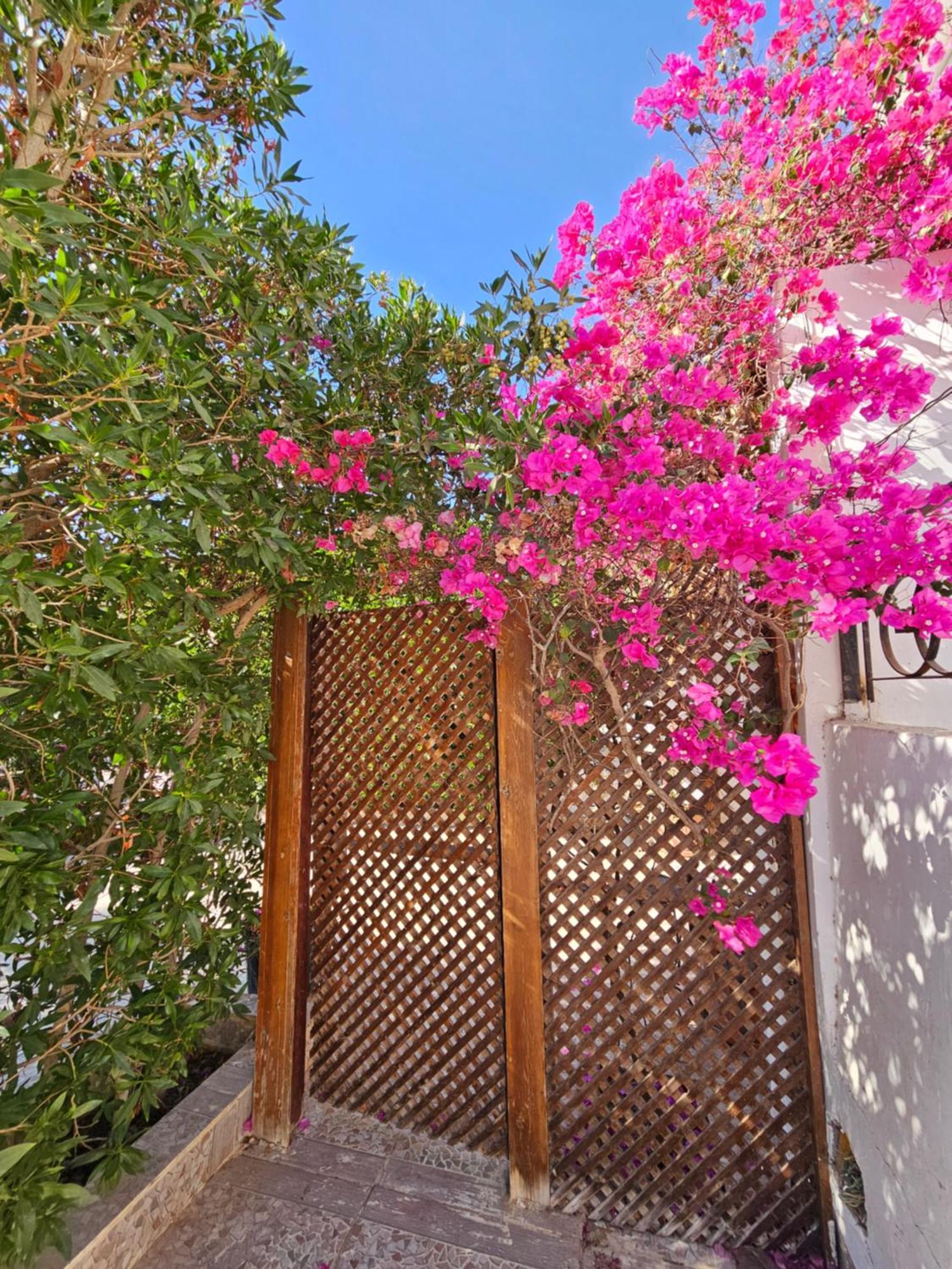 Hadaba Villa 51D Szarm el-Szejk Zewnętrze zdjęcie